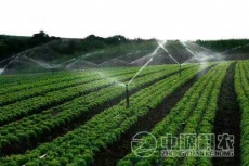 玉溪水肥一体化专业技术公司