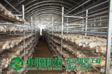 玉溪滁州市食用菌温室大棚公司